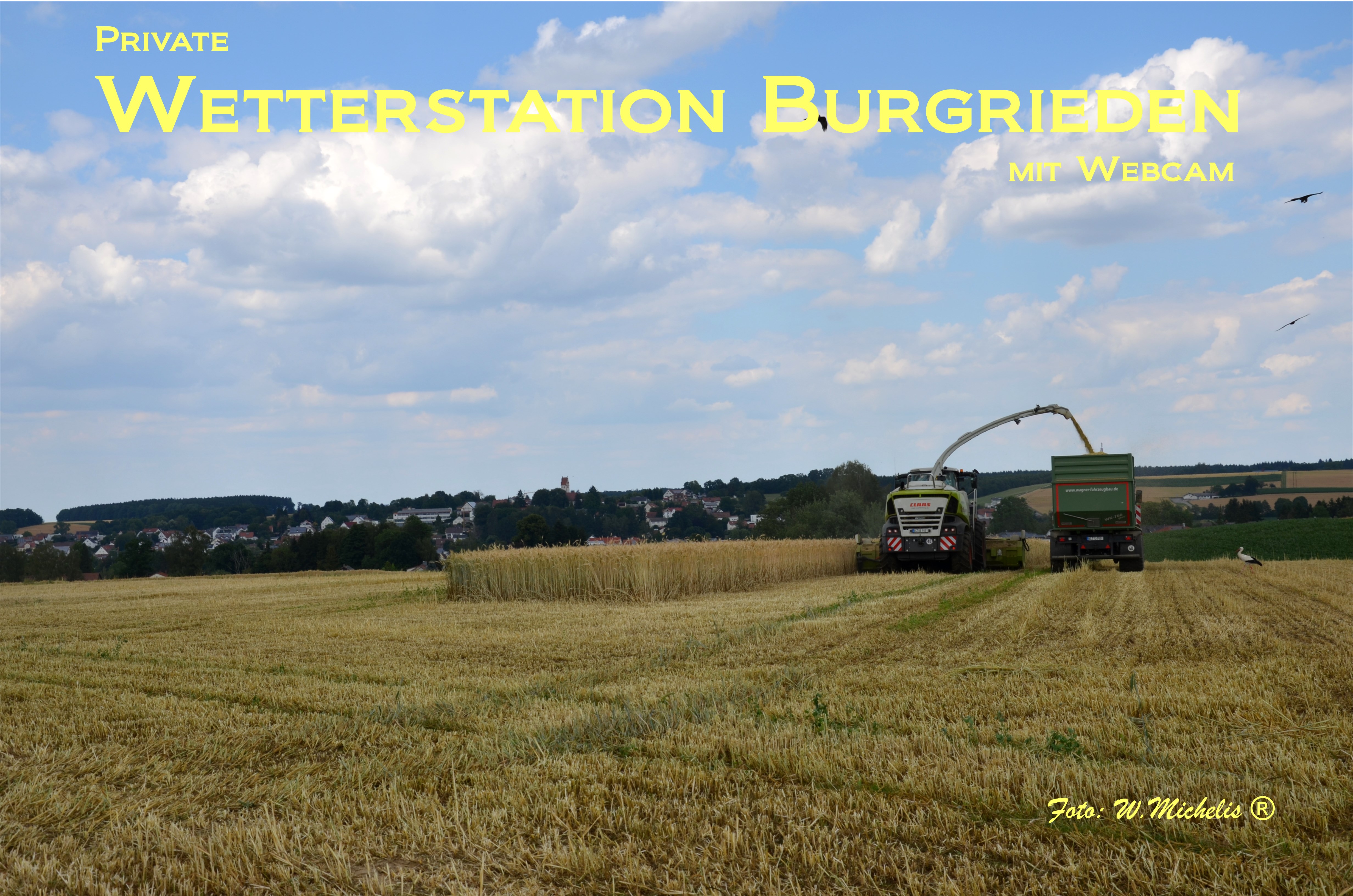 Burgrieden Logo